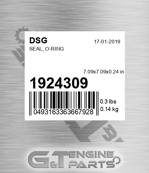 1924309 DSG Seal, O-ring