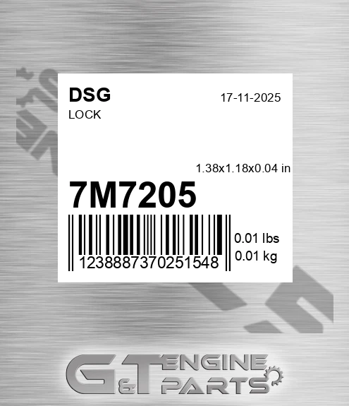 7M7205 DSG Lock