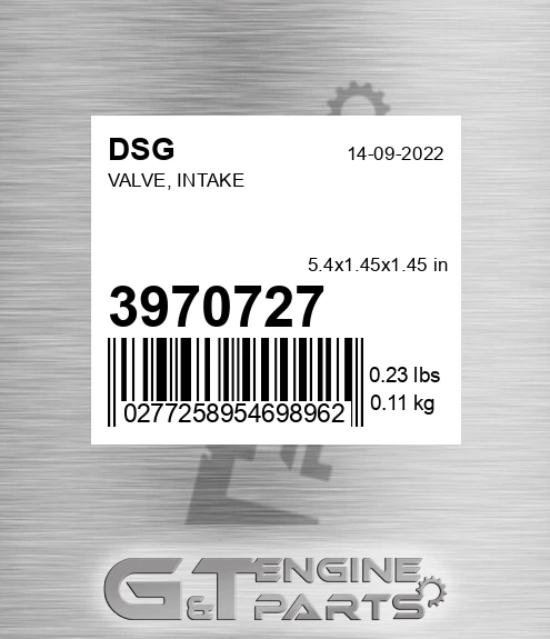 3970727 DSG Valve, Intake