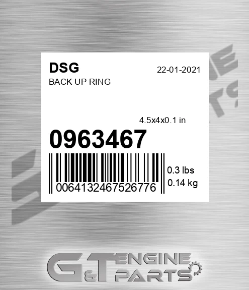 0963467 DSG Back Up Ring