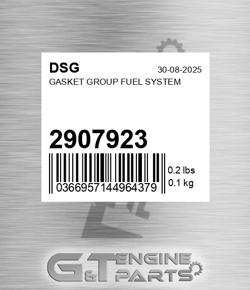 2907923 Gasket Group Fuel System