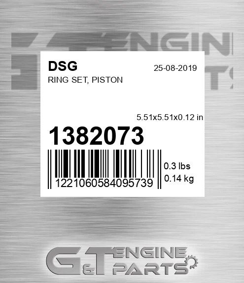 1382073 DSG Ring Set, Piston