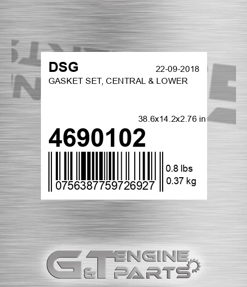 4690102 DSG Gasket Set, Central & Lower