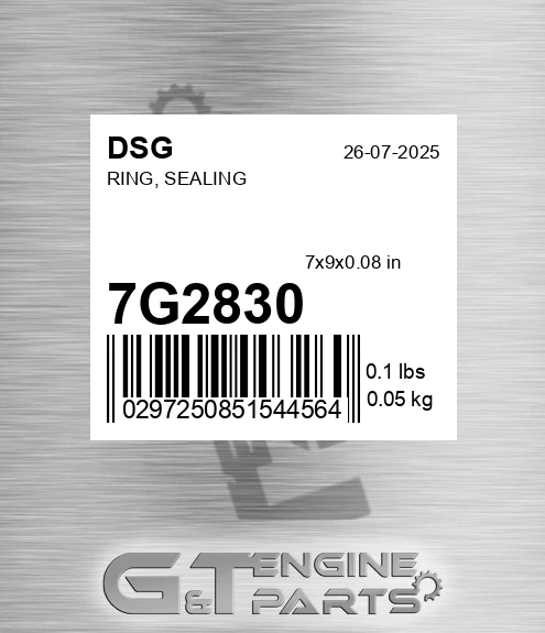 7G2830 DSG Ring, Sealing