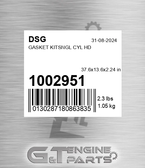 1002951 DSG Gasket Kitsngl Cyl Hd