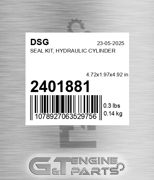 2401881 DSG Seal Kit, Hydraulic Cylinder