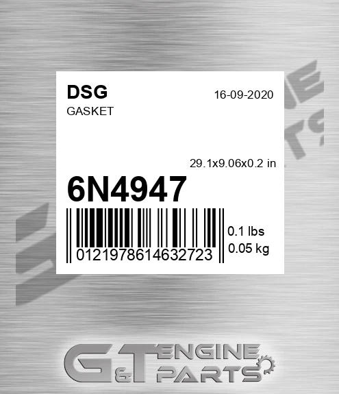 6N4947 DSG Gasket