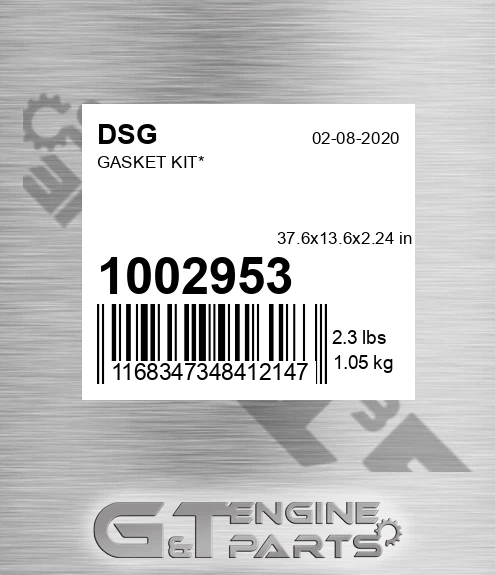1002953 Gasket Kit*