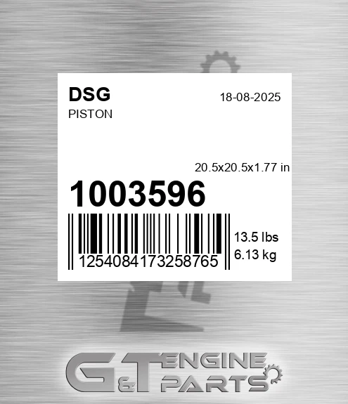 1003596 DSG Piston