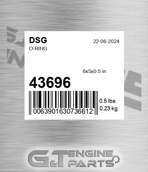 43696 DSG O-ring