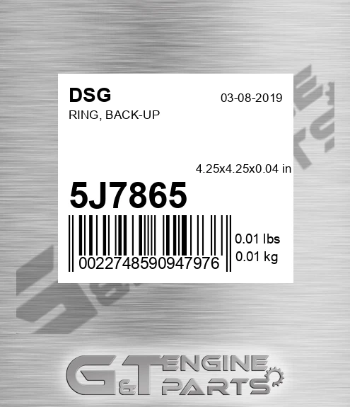 5J7865 Ring, Back-up