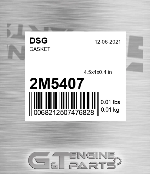 2M5407 DSG Gasket