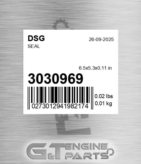 3030969 DSG Seal