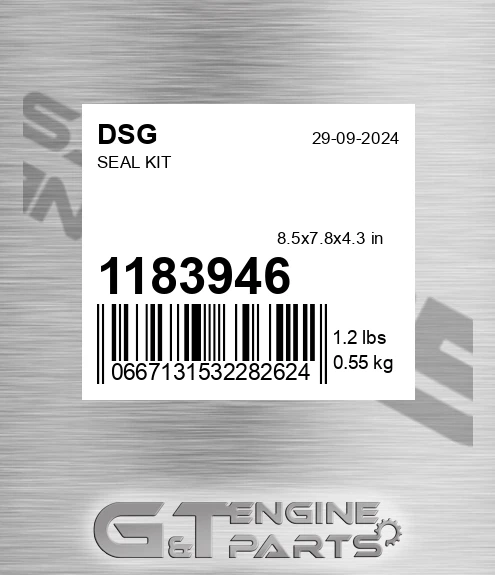 1183946 Seal Kit for DSG