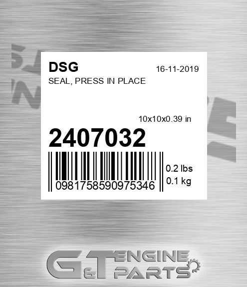 2407032 DSG Seal, Press In Place