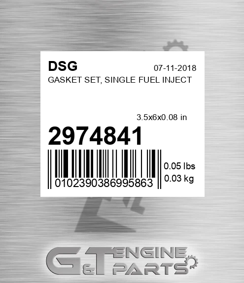 2974841 DSG Gasket Set, Single Fuel Inject