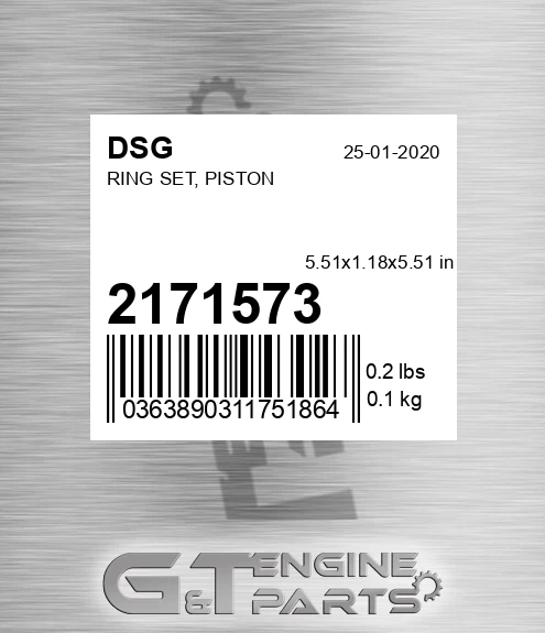 2171573 DSG Ring Set, Piston