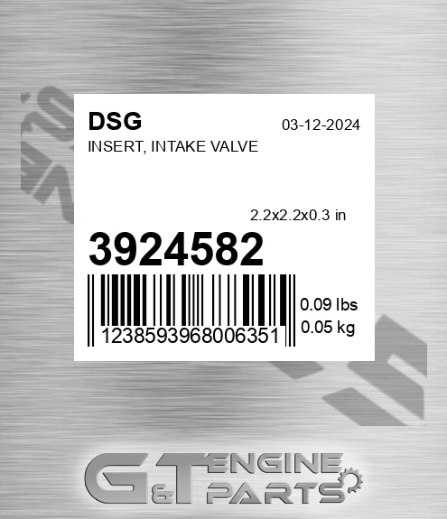 3924582 Insert, Intake Valve