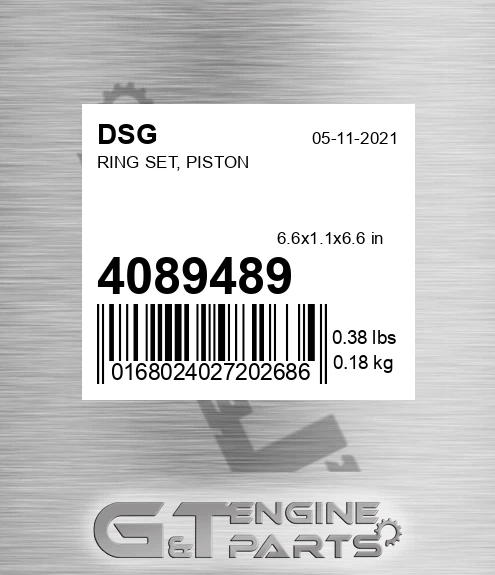 4089489 DSG Ring Set, Piston