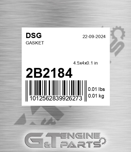2B2184 DSG Gasket