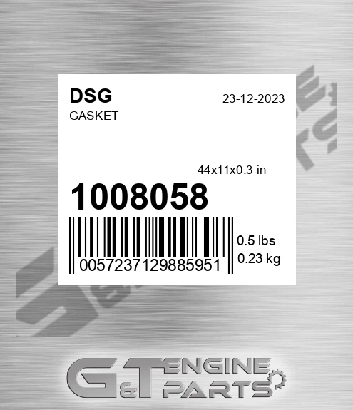 1008058 DSG Gasket