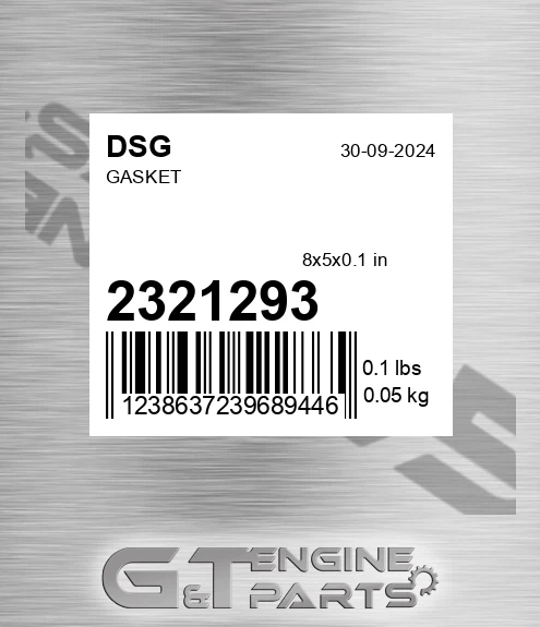 2321293 DSG Gasket