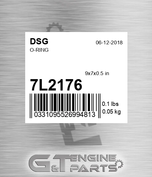 7L2176 DSG O-ring