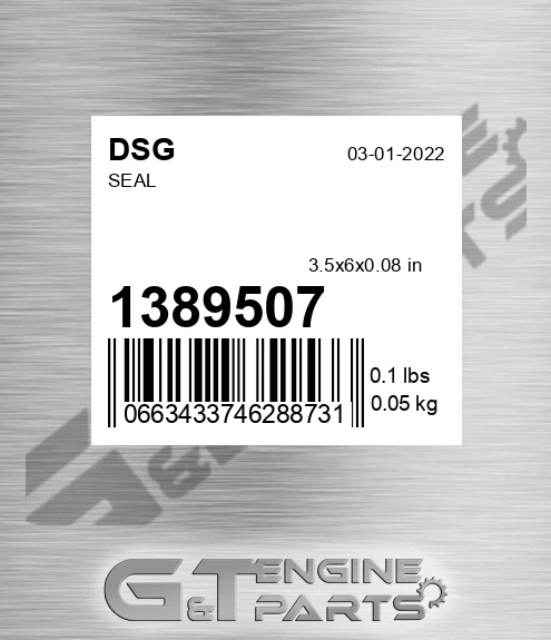 1389507 DSG Seal