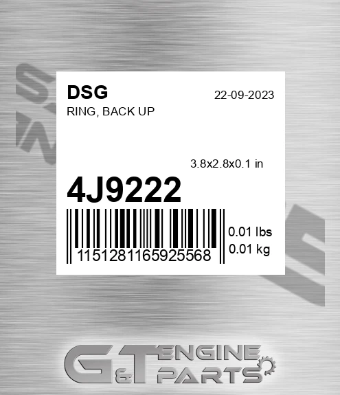4J9222 DSG Ring, Back Up