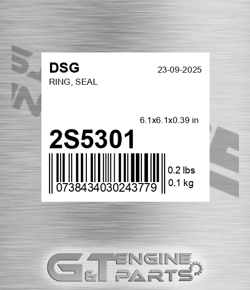 2S5301 Ring, Seal
