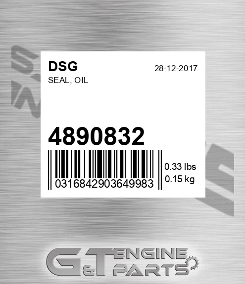 4890832 DSG Seal, Oil