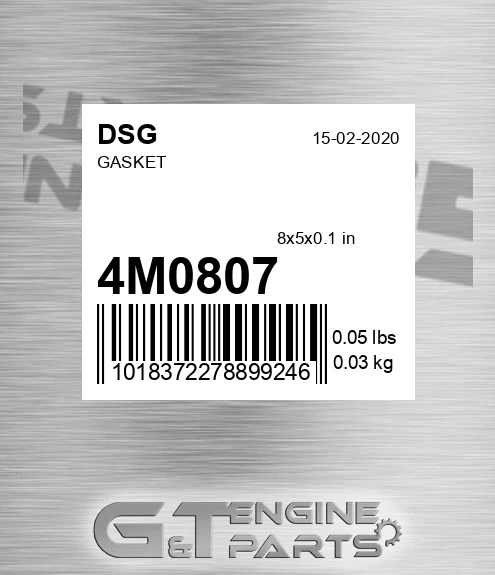 4M0807 DSG Gasket