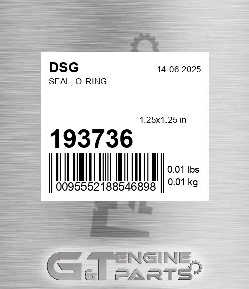 193736 DSG Seal, O-ring