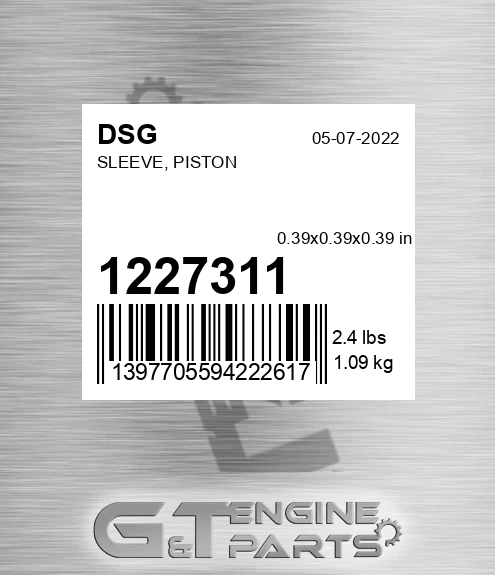 1227311 DSG Sleeve, Piston