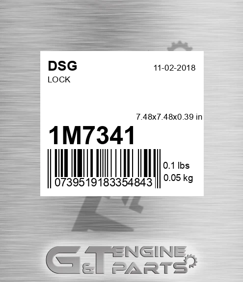 1M7341 DSG Lock