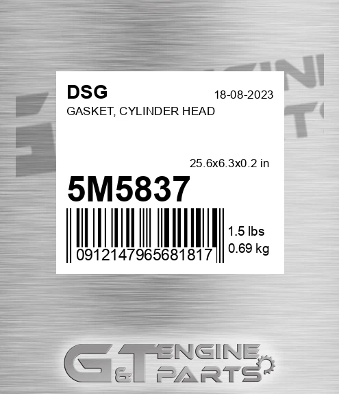 5M5837 DSG Gasket, Cylinder Head