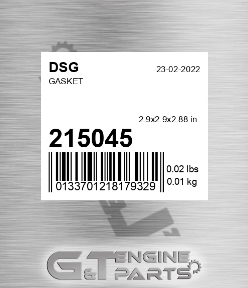 215045 DSG Gasket
