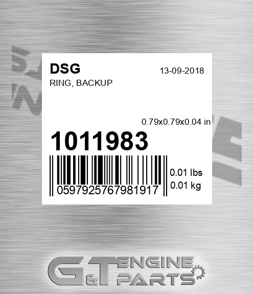 1011983 Ring, Backup