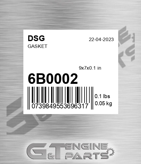 6B0002 DSG Gasket