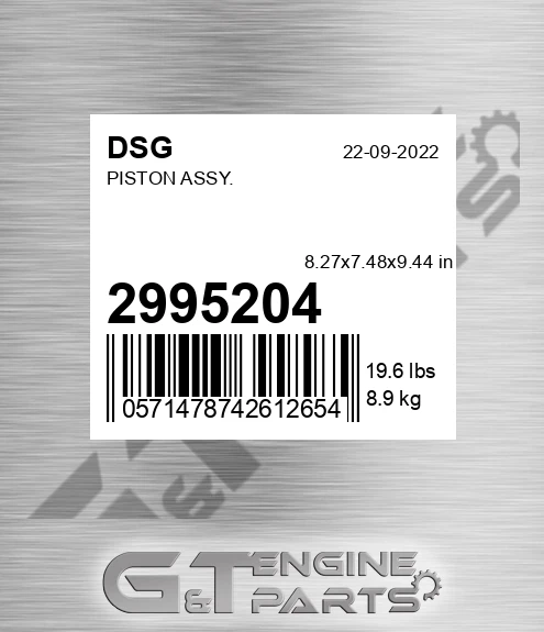 2995204 DSG Piston Assy.