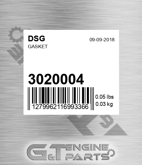 3020004 DSG Gasket