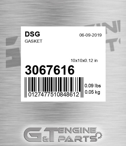 3067616 DSG Gasket