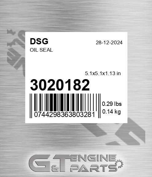 3020182 DSG Oil Seal