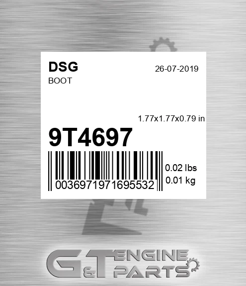 9T4697 DSG Boot