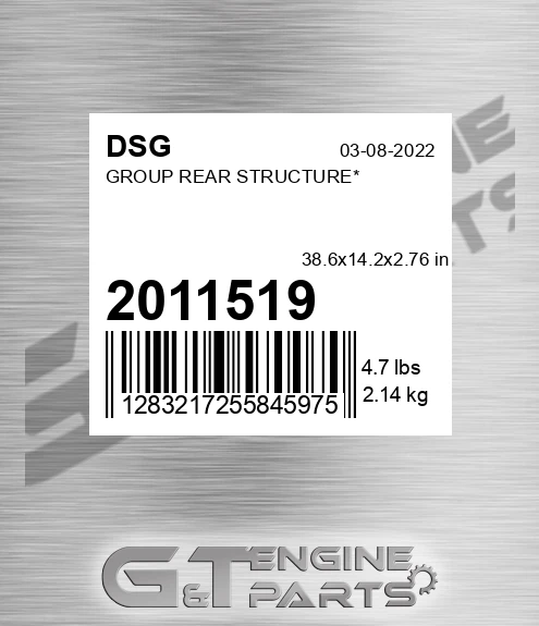 2011519 DSG Group Rear Structure*