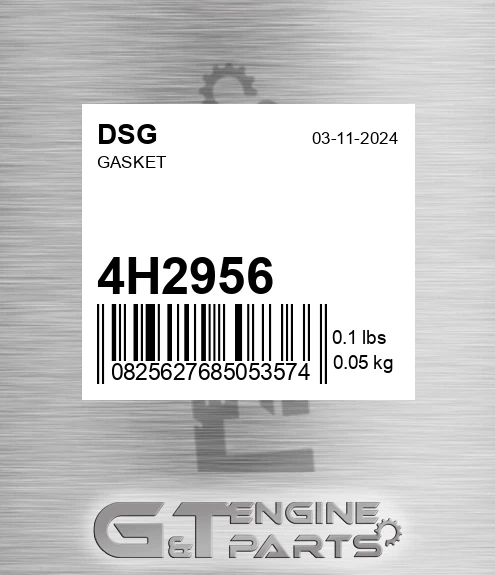 4H2956 DSG Gasket