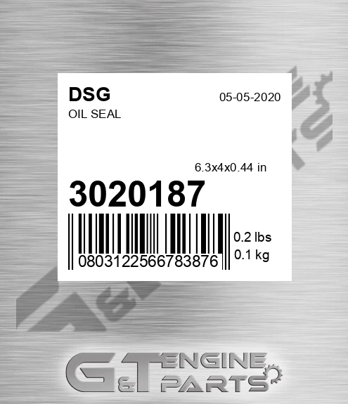 3020187 DSG Oil Seal