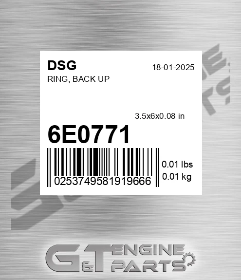 6E0771 Ring, Back Up