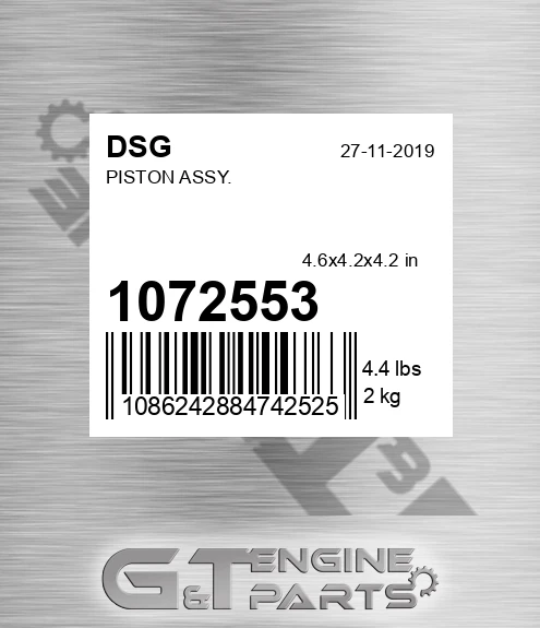1072553 DSG Piston Assy.