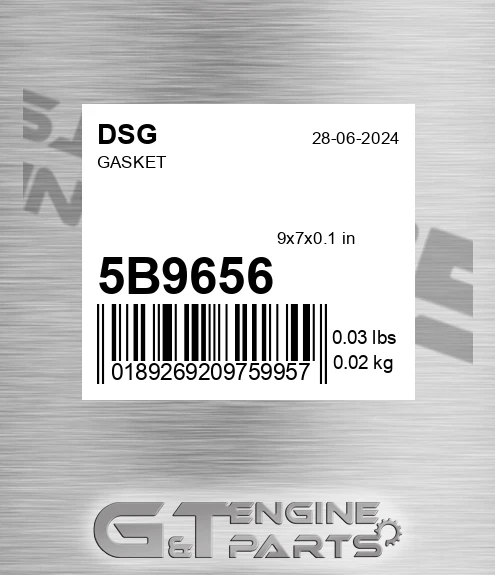 5B9656 Gasket